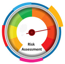 Risk Assessment Services